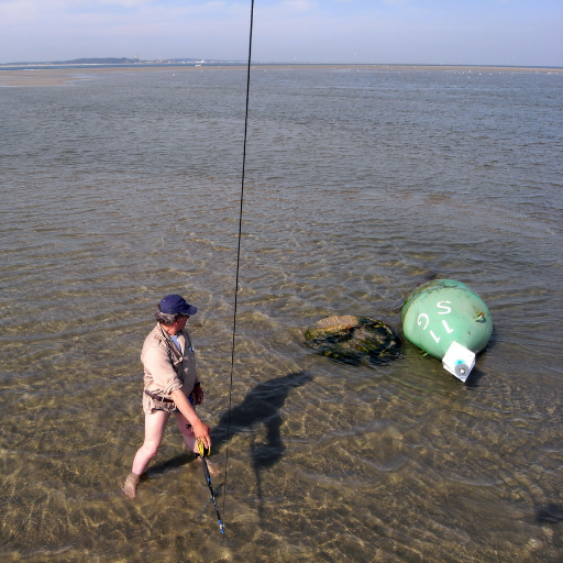 Vlieger en drone FOTOGRAAF OP TERSCHELLING