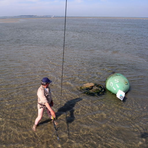 Vlieger en drone FOTOGRAAF  OP TERSCHELLING