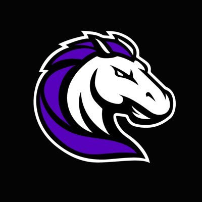 N_Stallions's profile picture. Central Ohio's Diocese based Youth Travel Basketball Program. #StallionPride #Together