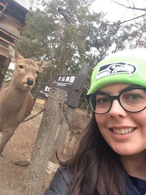 tara_a_evans's profile picture. PhD candidate @UniofAdelaide studying fossilised Brachychiton leaves 🍂 and Brachychiton evolutionary history.
