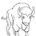 buffalo (@buffalogy) Twitter profile photo