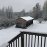 town1012's profile picture. love my family and Friends , my little part of heaven in Ottawa . The Leafs , blue Jays, Raptors( World Champions) TFC and Argos plus all things food related