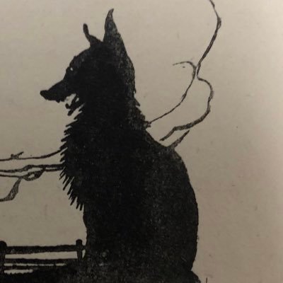 slightlyfoxed5's profile picture. Personal acct of Houghton Library cataloger. Some of us are foxed, only lightly, & always around the edges.