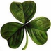 Melbourne Irish Festival (@festirish) Twitter profile photo Melbourne Irish Festival (@festirish) Twitter profile photo