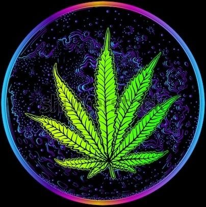 Everyone chill. Ya here for a good time not a long time.✌💚🌍🌱🌱🌱
sc~richtbizkit1