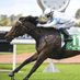 Regal Lodge Racing (@regallodge) Twitter profile photo Regal Lodge Racing (@regallodge) Twitter profile photo