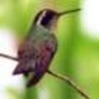 Катерина (@mavissa) 's Twitter Profile