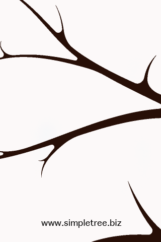 SimpleTreeApps's profile picture. 