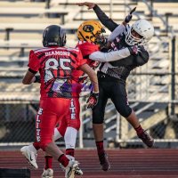 Diamond Sports Group® (@diamondcombine) 's Twitter Profile