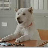 武田俊平 (@takesyun0731) 's Twitter Profile