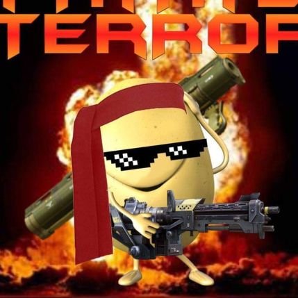 PatateTerror1's profile picture. 