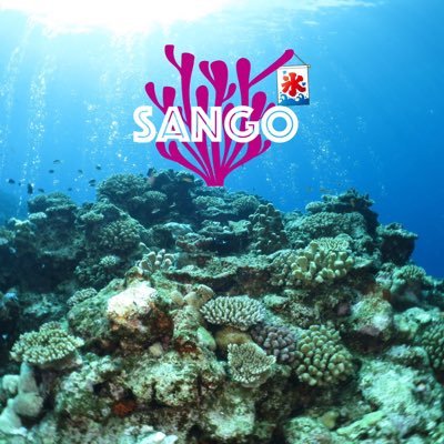 かき氷専門店 Sangoさんのプロフィール画像
