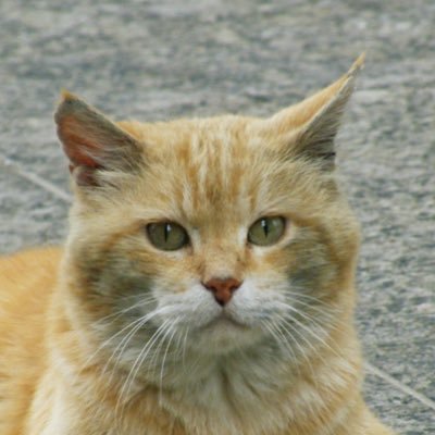 Ak 花ざかりweekend が良すぎて 曲も歌詞もダンスもカメラワークも ここすき っていうところが多すぎたので 曲に関してだけではありますが 感想twitterに上げます ミリシタ 花ざかりweekend Ak 花ざかりweekend が良すぎて 曲も歌詞もダンスもカメラワークも ここすき っていうところが多すぎたので 曲に関してだけではありますが 感想twitterに上げます ミリシタ 花ざかりweekend