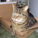 holli phillips - @425666567568668 - Twitter