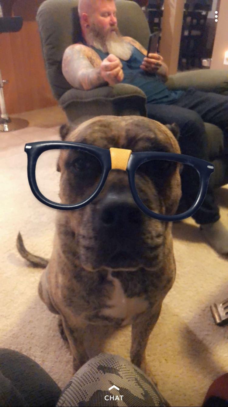 YgeekDi's profile picture. I love cats, Nintendo, and chocolate