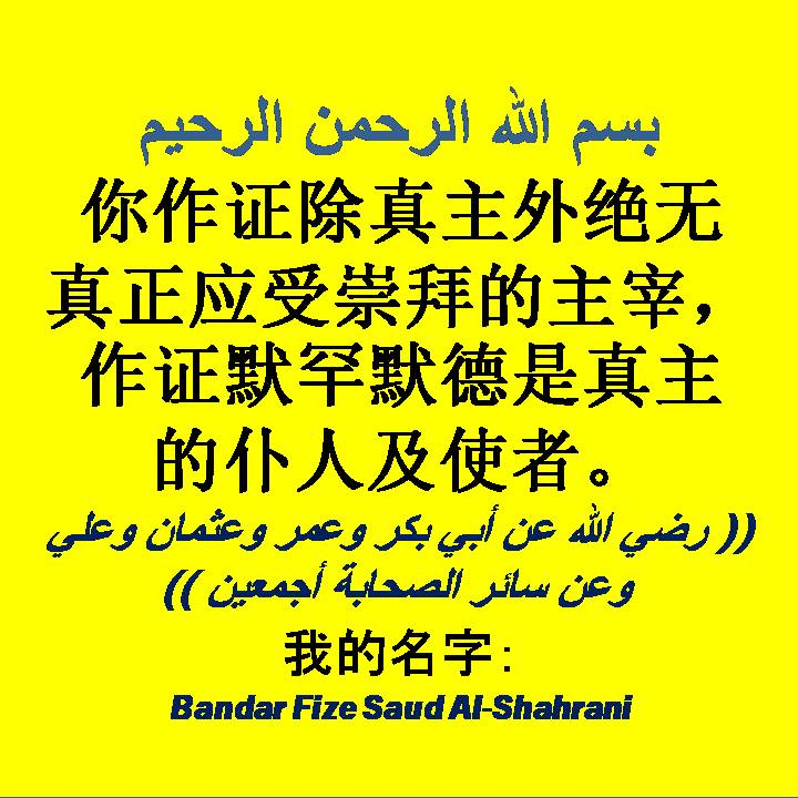 你作证除真主外绝无真正应受崇拜的主宰，作证默罕默德是真主的仆人及使者。