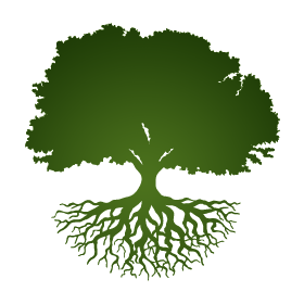 TreetopVentures's profile picture. 