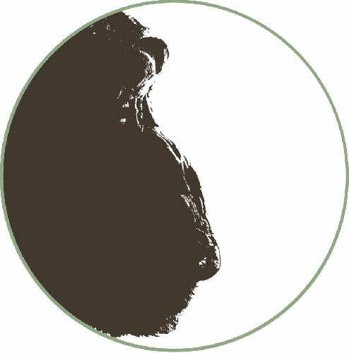Learn about the lives of an extraordinary family of primates and the humans who care for them