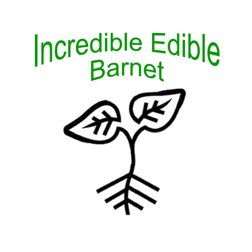 Wendy at Incredible Edible Barnet