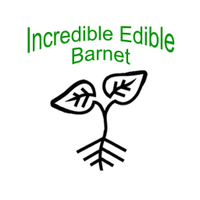 Wendy at Incredible Edible Barnet(@IncEdibleBarnet) 's Twitter Profile Photo