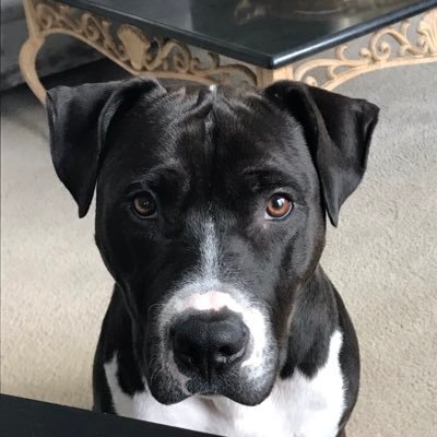 DymePHL's profile picture. 