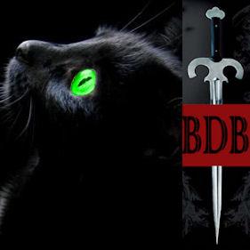 BOO_BDB's profile picture. I am @BethR_BDB's cat.