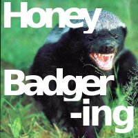 Honey Badger -ing(@honeybadgering) 's Twitter Profile Photo