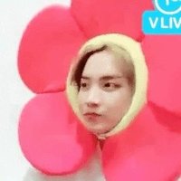문 어 부🍥 (@army_octopus_) 's Twitter Profile