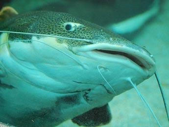 mogoonch's profile picture. Feeling the pull 2 become apart of change--personally and globally. Working parent in search of a little peace & punctuated moments of fun.