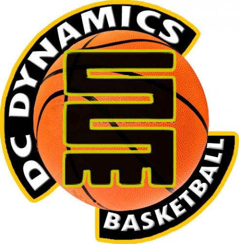 DCDynamics Profile Picture