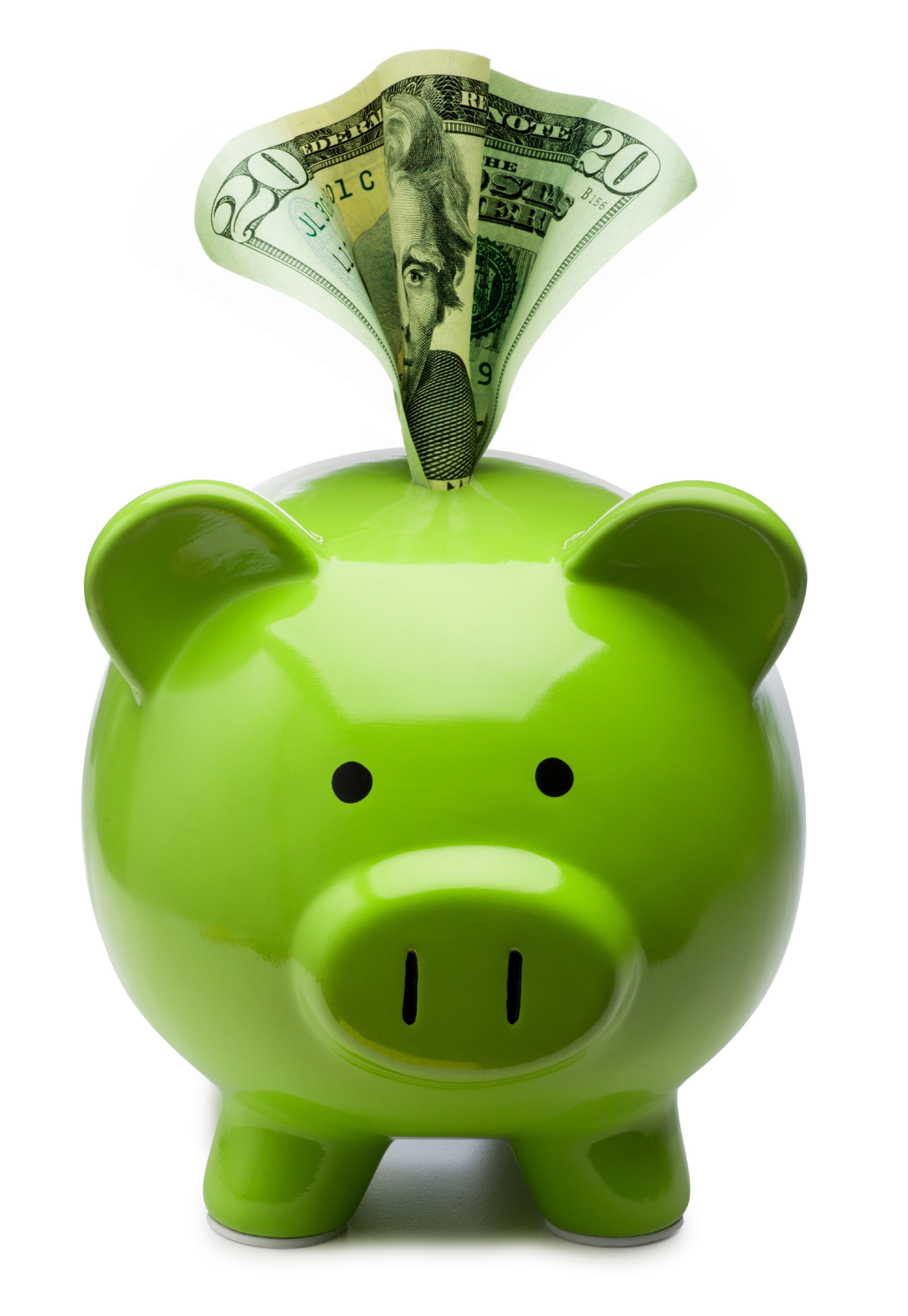 Hi, I'm Sammy the Savings Pig. I'm a traveling representative of savings for @HytecRepair. Follow me on my travels across the country! #sammyforsavings