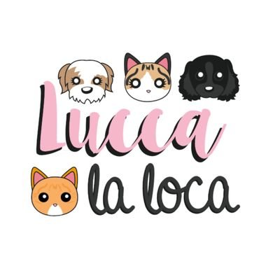 Las aventuras de Lucca, Zelda, Link y Eddie🌈
Consejos para humanos que conviven con perros y gatos
Maternidad con animales