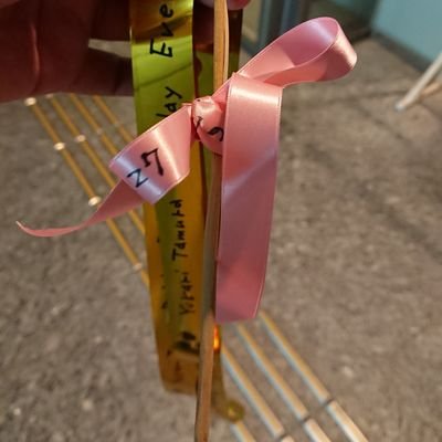 tokiya_yakumo's profile picture. ゆかりんのお休み明けと共に返ってきた世間に紛れ込む王国民。無言フォロー失礼します。 アビスパの試合にたまに行きます。 質問箱 https://t.co/nopeoiFhaF