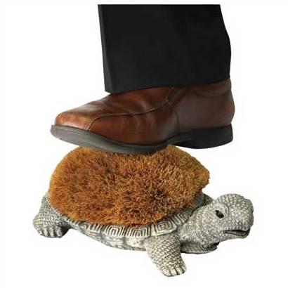 turtleshoe's profile picture. 