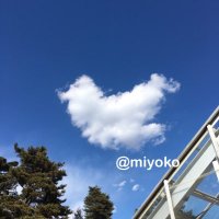 みよ(@pu_pou_ree) 's Twitter Profile Photo