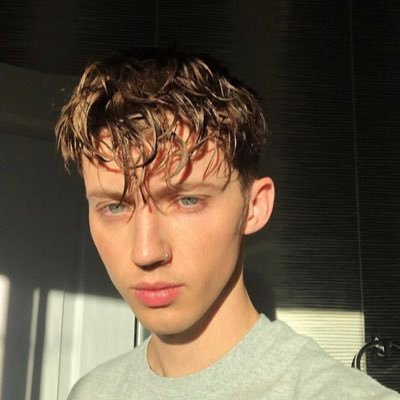 #1 Source FR sur le talentueux acteur, chanteur et youtubeur australien Troye Sivan.