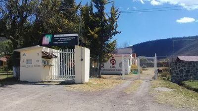CAIA31479009's profile picture. Centro de internamiento contra las adicciones dependiente de la Secretaría de Salud de Hidalgo