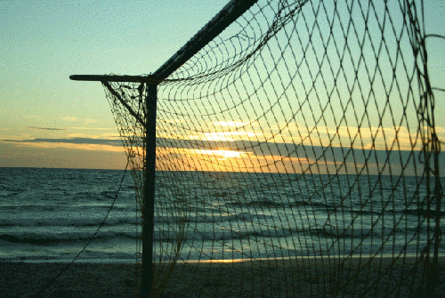 CarlBushP's profile picture. Fitness, exercise, working out, etc..