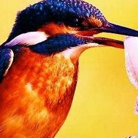 IndexOptionsTrading (@options4me) 's Twitter Profile