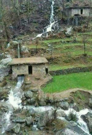 samiullah537's profile picture. 1