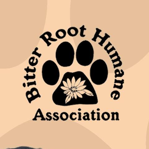 BRHA is a small, friendly, open admission shelter. We are a no time limit/no space limit shelter that finds homes for all adoptable animals.