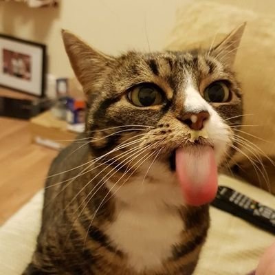 MsEmJam's profile picture. Just living my life!!!