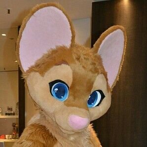 Hello I’m Iris!
I'm NFC_Mausie's Norwegen Cousin and together with him we are the official mascots of @NordicFuzzCon.
Nice to meet you!
