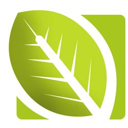 natural_women's profile picture. Natural Women's Health focuses on women's issues like beauty, menstruation, wellness, fitness, diet, and more! Check out our blog for all the latest!