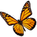 Michael Craddock - @Michael60362606 - Twitter