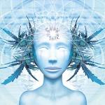 nickg7's profile picture. 