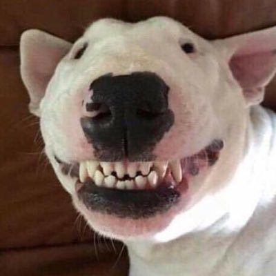 minedixer_'s profile picture. jermas #1 fan