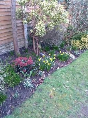 Carole Lovatt Profile