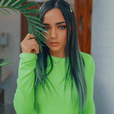 Cachesauru's profile picture. Calle Y Poché