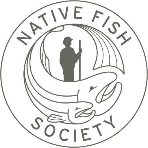 nfswildfish Profile Picture